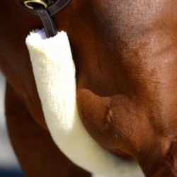 فرو مرتنقال