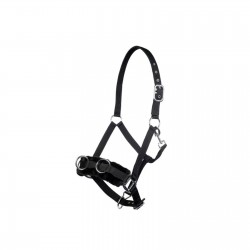 كولية التدريب