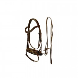 leather bridle