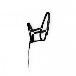 رسن عادي للأمهار