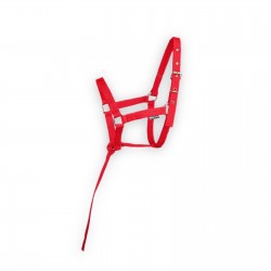 Licol Simple Standard