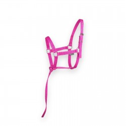 Licol Simple Standard