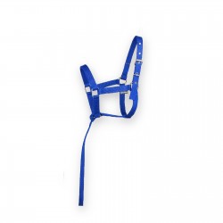 رسن عادي للأمهار