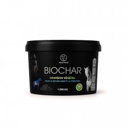 Biochar