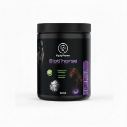 BiotiHorse
