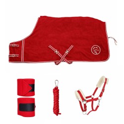 مجموعة الشتاء