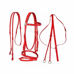 Plastic One-Color Bridle by STATUS