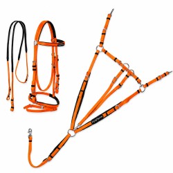 Plastic martingale bridle