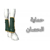 حماية الحصان